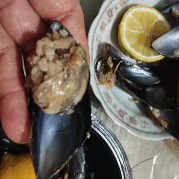 A101 Dardanel Midye Dolmada Sert Et Ve İçinde Taş