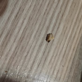 A101 Dardanel Midye Dolmada Sert Et Ve İçinde Taş