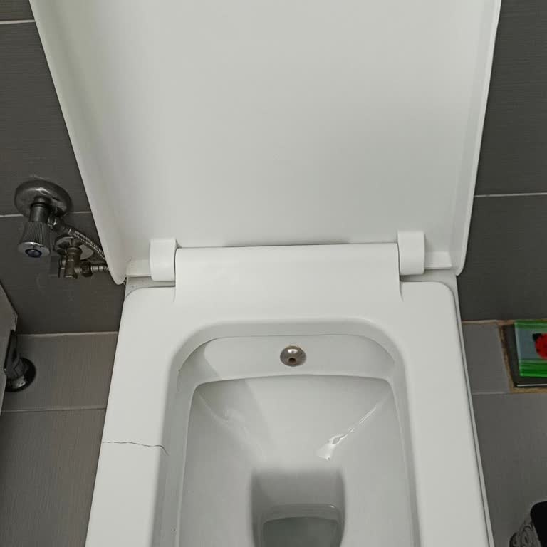 Kale Klozet Kapağı Kırıldı, Değişim Talebi