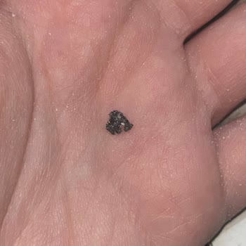 Şok Markette Alınan Yulaf Ezmesinde Şüpheli Siyah Parçacık Gıda Güvenliği Endişesi