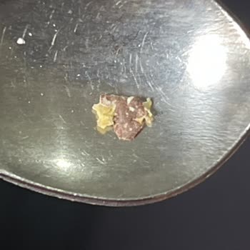 Şok Markette Alınan Yulaf Ezmesinde Şüpheli Siyah Parçacık Gıda Güvenliği Endişesi