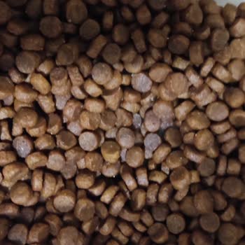 N11'de Orijinalliği Şüpheli Pro Plan Kedi Maması Satışı Ve Mağduriyet!