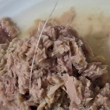 Ton Balığında Kılçık Sorunu Güven Krizi Oluşturuyor