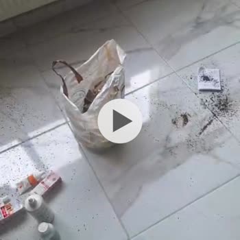 Pegasus'ta Valizim Çamurda Kırık, İçindeki Eşyalarım 300 € Zarar Gördü