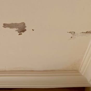 Aksigorta Çatı Suyu Hasarı Red Nedeni Belirsiz, Tekrar İnceleme Talebi