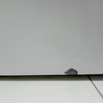 Paslı Ön Kapak Altındaki Parçanın Garanti Kapsamında Ücretsiz Değişimi