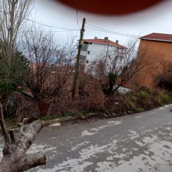 Maltepe Seyran Sokak Kaldırımı Çalı Ve Otlarla Kapalı, Çocuklar Ve Yaşlılar İçin Tehlike