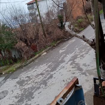 Maltepe Belediyesi Seyran Sokak Kaldırımı Çalılık Ve Otlarla Kaplı, Güvenli Değil