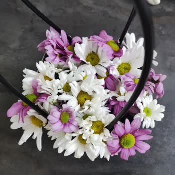 Yanlış Ve Özensiz Çiçek Gönderimi, Yetersiz Kupon Ve Yorumun Gizlenmesi