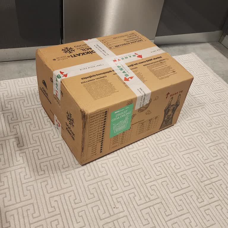 DHL Personelinin 5. Katda 20 Kilo Kargoyu Müşteriden Taşıma Talebi