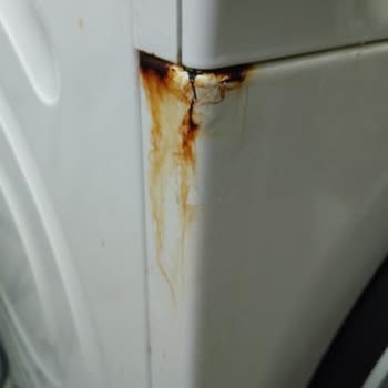 Siemens Çamaşır Makinesinde Kısa Sürede Paslanma Ve Çürüme, Servis İlgisizliği