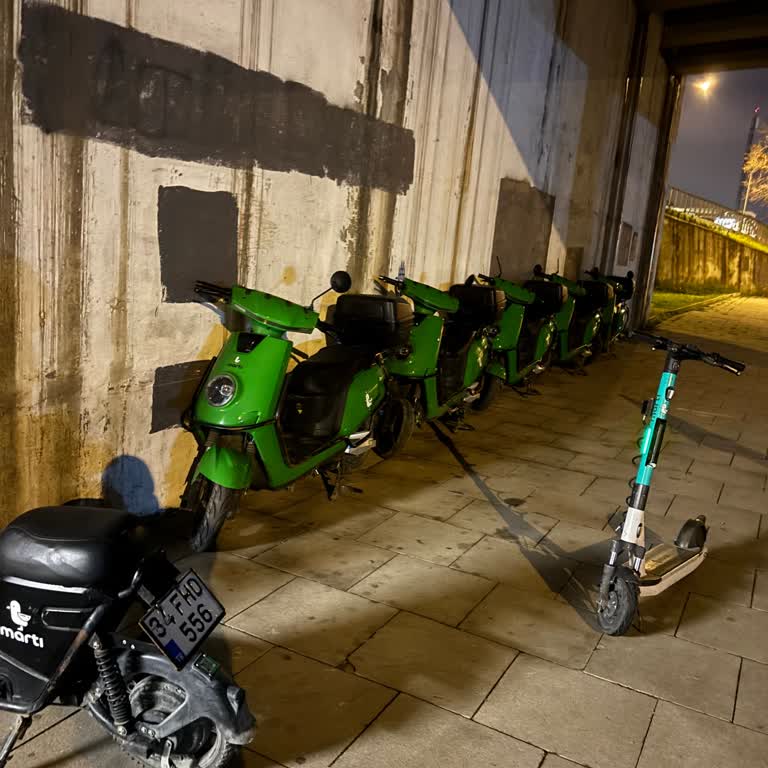 Martı Şirket Çalışanının Alanına Park Eden Müşteriye Haksız Ceza