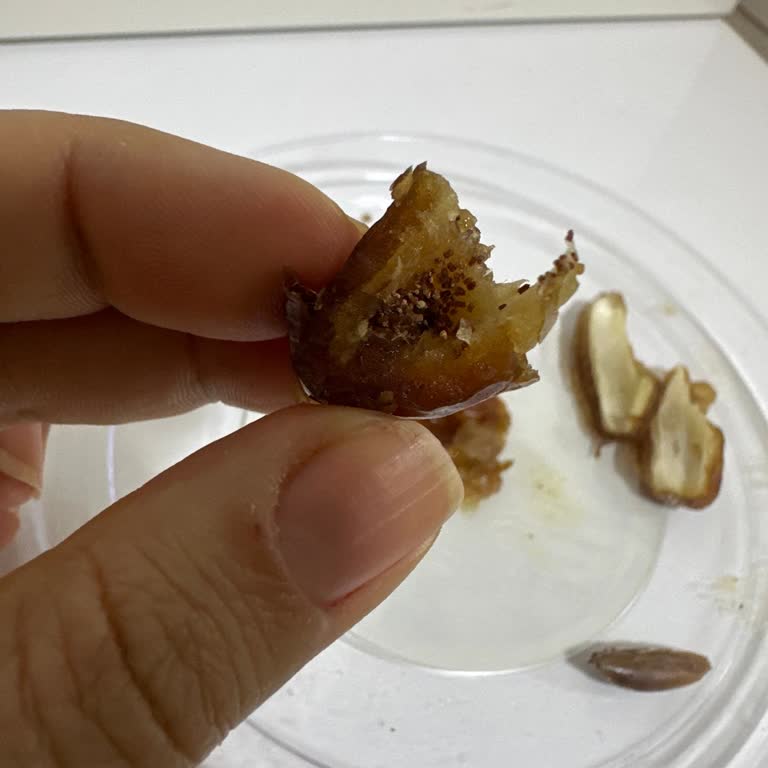 Cedid Marka Tunus Hurması Kurtlanma Sorunu