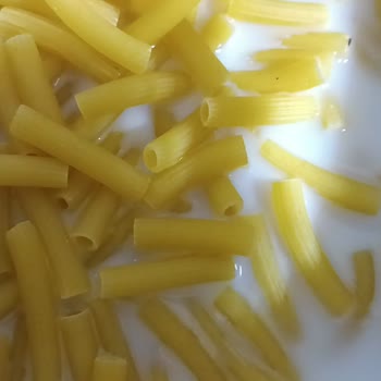 Filiz Makarna Ürünün İçinden Çok Sayıda Böcek Çıktı!