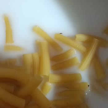 Filiz Makarna Ürünün İçinden Çok Sayıda Böcek Çıktı!