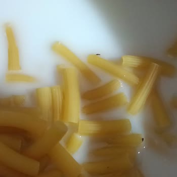 Filiz Makarna Ürünün İçinden Çok Sayıda Böcek Çıktı!