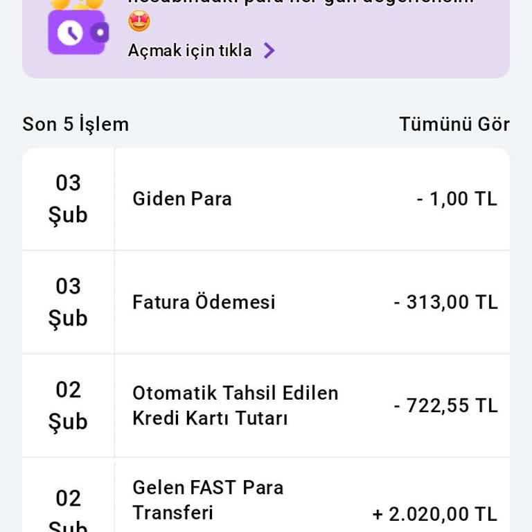 Hadi Kredi Kartı Ödemesi Yanlış İşleniyor, Limit 732 TL Olarak Görünüyor