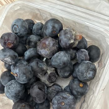 Migros’tan Bozulmuş Yaban Mersini: Tarih Hatası Ve İade Talebi