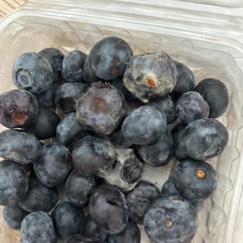 Migros’tan Bozulmuş Yaban Mersini: Tarih Hatası Ve İade Talebi