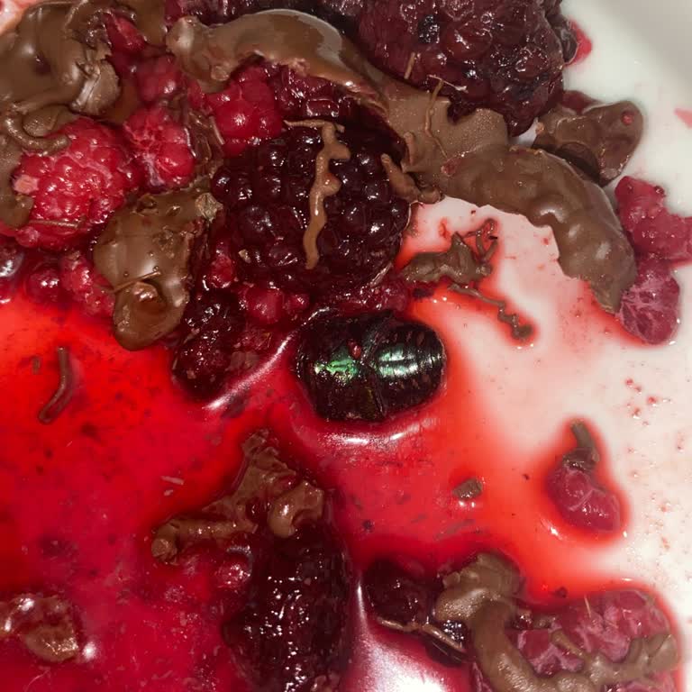 Migros Dondurulmuş Orman Meyvesi Paketi İçinde Hamam Böceği: Şok Edici Hijyen İhlali