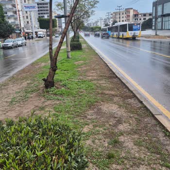 Mezitli Akdeniz Mahallesi'nde Kaldırılan Yaya Geçidi İçin Acil Güvenlik Talebi