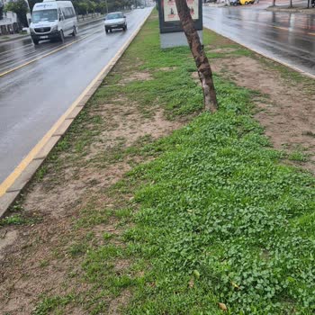 Mezitli Akdeniz Mahallesi'nde Kaldırılan Yaya Geçidi İçin Acil Güvenlik Talebi