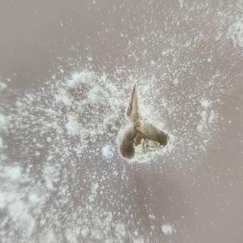 Yabancı Cisimli Üründe Güvensizlik Ve Gecikmiş İade Süreci