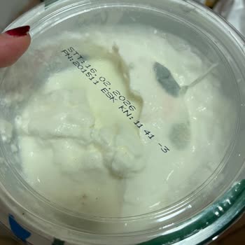 Pınar Yoğurdu Açtığımızda Ürünün Üzerinde Küf Tabakası Oluştuğunu Gördük