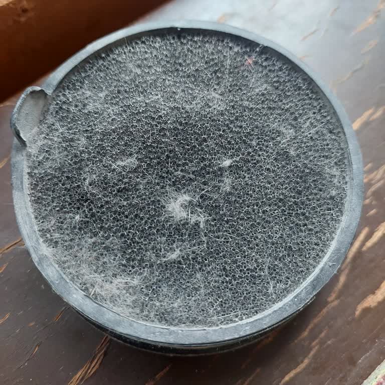 Philips Dikey Süpürge Filtre Tıkanması Ve Yüksek Değişim Maliyeti