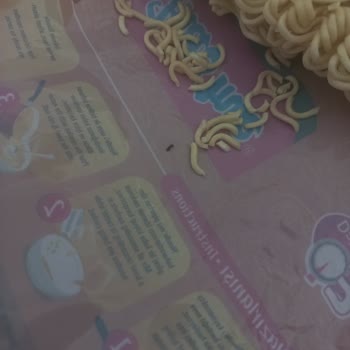 İndomie Körili Noodle’da Canlı Böcek Bulunması