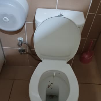 Haydarpaşa Hastanesinde Kadın Tuvaletinde Yoğun Koku Ve Kağıt Eksikliği