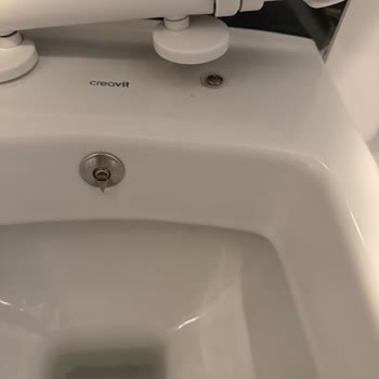 Creavit Klozetlerde Sürekli Kırılan Kapak Menteşeleri Ve Renk Atması