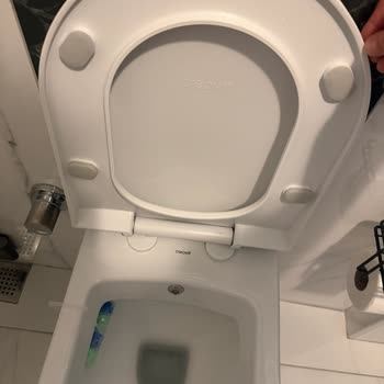 Creavit Klozetlerde Sürekli Kırılan Kapak Menteşeleri Ve Renk Atması