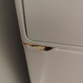 Garanti Dışı Paslanma Sorunu: Profilo Çamaşır Makinesi