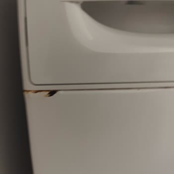 Garanti Dışı Paslanma Sorunu: Profilo Çamaşır Makinesi