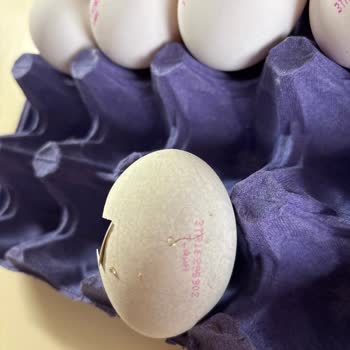 Kestel A101'de Bozuk Yumurta Satışı, Açıklama Ve İade Talebi