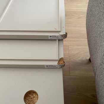 Alfemo Konsolunda Hasarlı Parçalar Ve Uzun Bekleme Süreci