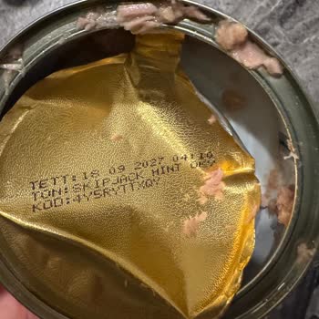 Dardanel Ton Balığında Büyük Kılçık, Gıda Güvenliğinde Ciddi Tehlike