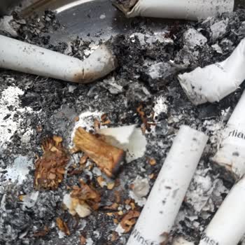 Winston Sigara İçinde Tahta Parçası Bulundu