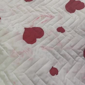 Altus Kurutma Makinesinde Kırmızı Renk Sorunu Ve Toz Haznesi Değişimi Talebi