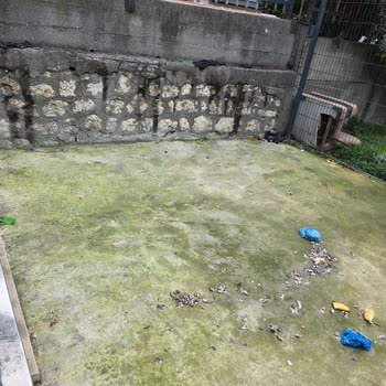 Kehribar Sokak Asansör Altındaki Uygunsuz Etkinlikler Ve Güvenlik Açığı