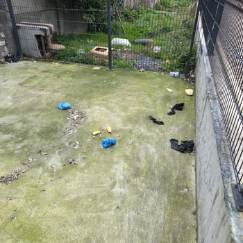 Kehribar Sokak Asansör Altındaki Uygunsuz Etkinlikler Ve Güvenlik Açığı