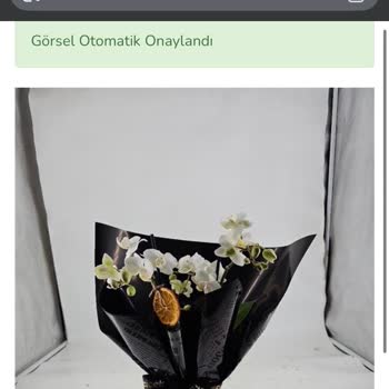 Çamurlu Toprak Ve Solmuş Orkideyle Gelen Özensiz Hediyeye Hayal Kırıklığı