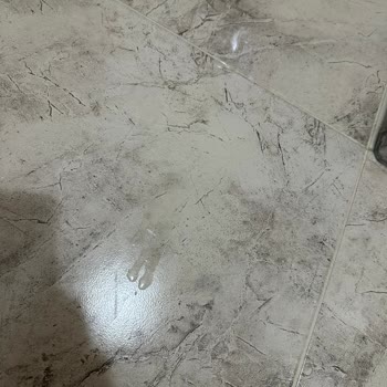 Hamile Kullanıcıyı Etkileyen Kedi Tuvaleti Sızıntısı Ve Gecikmeli Destek