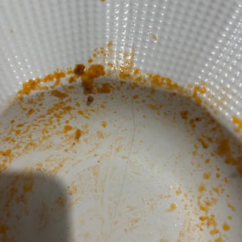 Kütahya Porselen Milena Tabak Normal Kullanımda Çatladı, Değişim Talebi