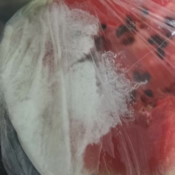 Düşük Ortam Sıcaklığında Çalışmayan Uğur Buzdolabı Model Değişimi Talebi