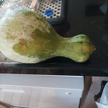 Düşük Ortam Sıcaklığında Çalışmayan Uğur Buzdolabı Model Değişimi Talebi