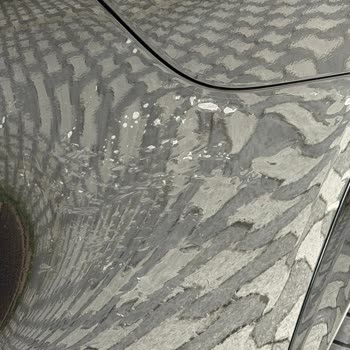 İlk Bakımda Personel İlgisizliği Ve PPF Kaplamanın Çözülmemesi