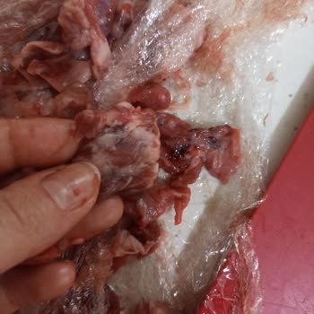 Kuşbaşı Etin Çürük Ve Yağlı Olarak Gönderilmesi