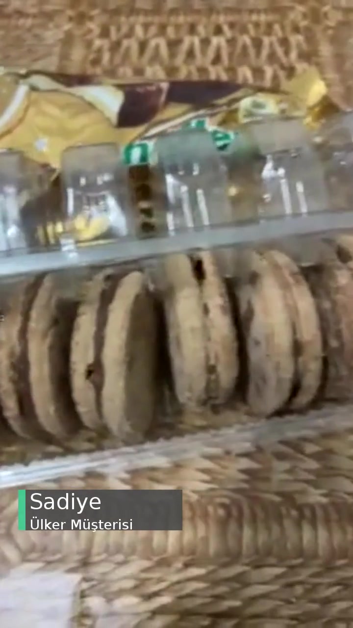 Ülker Halley Bayat, Bozulmuş videonun kapak resmi